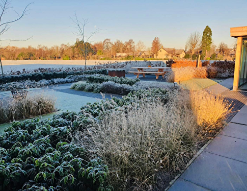 Jouw tuin winterklaar: zo bescherm je planten, gazon en borders tegen de kou