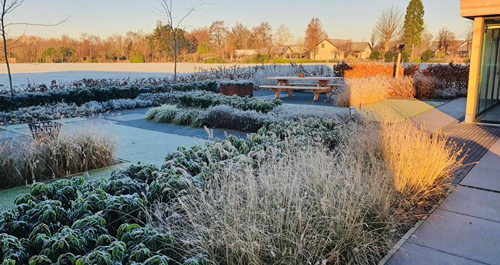 Jouw tuin winterklaar: zo bescherm je planten, gazon en borders tegen de kou