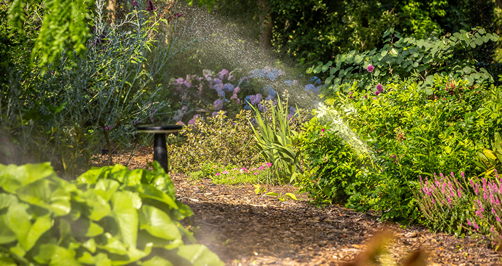 Voorjaarsadvies: voorkom onkruid en plagen met deze slimme tips