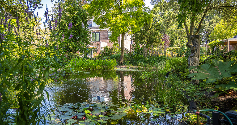 De tuintrends van 2025: duurzaam, natuurlijk en stijlvol