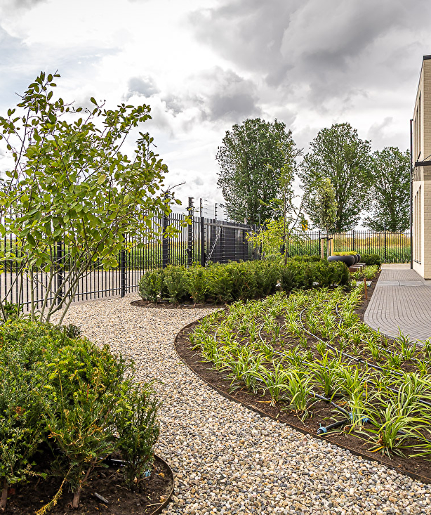 Organische kantoortuin