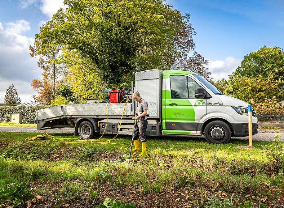 Japanse duizendknoop