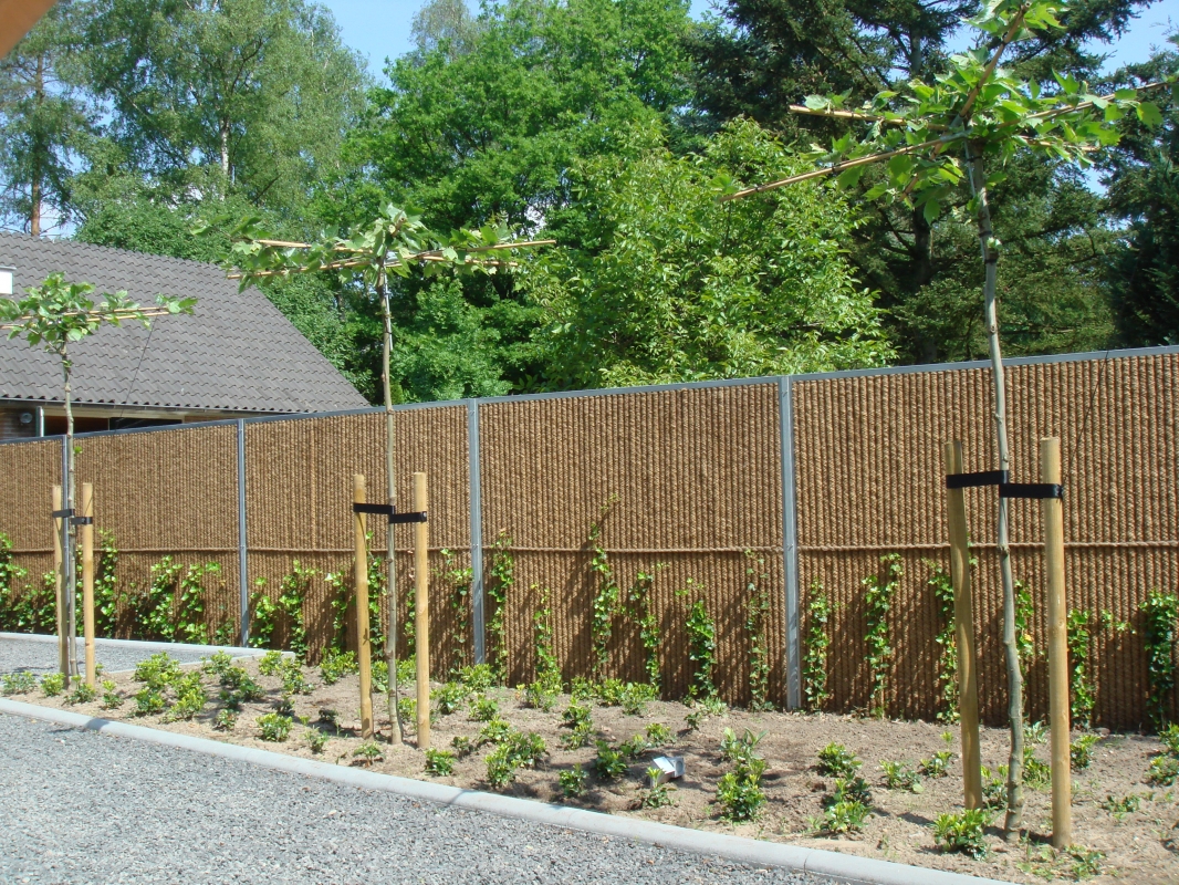 Tuinafscheiding aan het zoeken? Blom Hoveniers