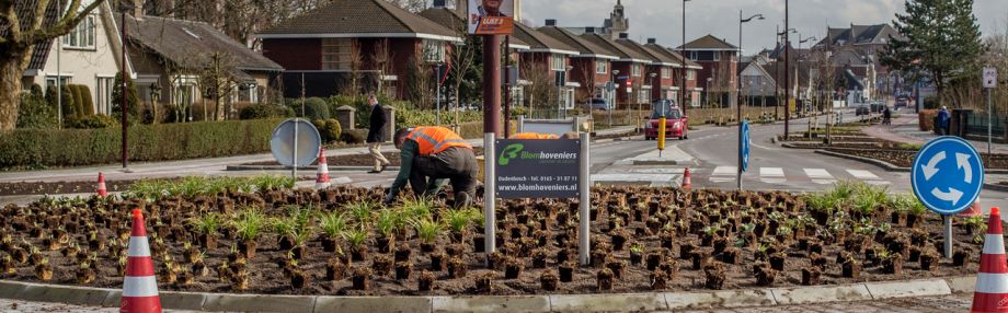 Zakelijke oplossingen