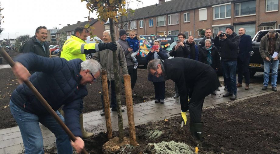 Plantklus gemeente Zundert